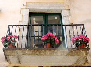 Girona Temps de Flors 2014. Els balcons de Girona