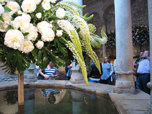 Girona Temps de Flors 2014. Els Banys &Agrave;rabs