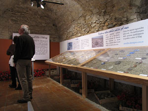 Girona Temps de Flors 2014. El Museu d'Hist&ograve;ria