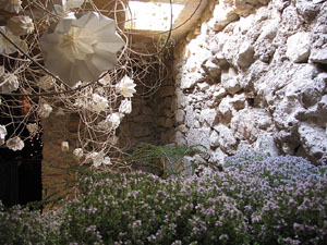 Girona Temps de Flors 2014. La Casa Lle&oacute; Avinay