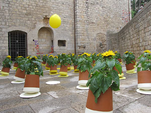 Girona Temps de Flors 2014. Sant Pere de Galligants