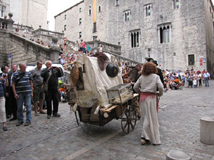 VI Festa Reviu els Setges Napole&ograve;nics de Girona