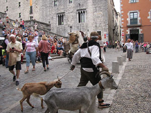 VI Festa Reviu els Setges Napole&ograve;nics de Girona