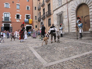 VI Festa Reviu els Setges Napole&ograve;nics de Girona