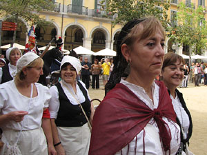VI Festa Reviu els Setges Napole&ograve;nics de Girona