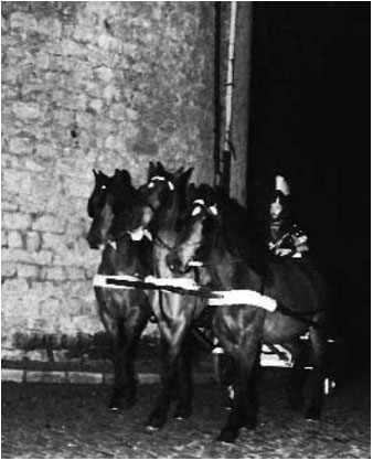 L'auriga &Agrave;lex Mas&oacute; amb la triga, l'any 1988, al seu pas per l'&agrave;bsis de Sant Feliu