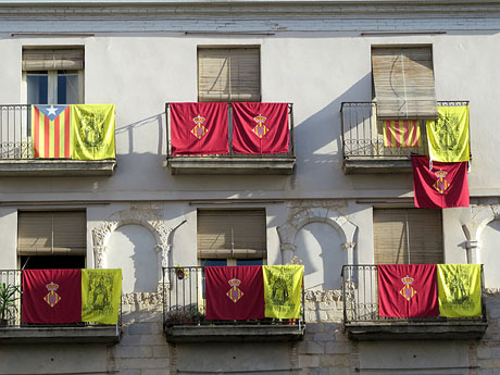 Fires de Sant Narc&iacute;s 2014. Miscel&middot;l&agrave;nia d'imatges