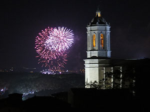 Fires de Sant Narc&iacute;s 2014. Castell de focs artificials