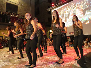 Fires de Girona 2014. El preg&oacute;