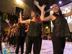 Fires de Girona 2014. El preg&oacute;