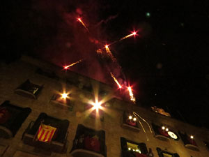 Fires de Girona 2014. El preg&oacute;