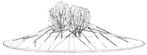 Disseny de la instal&middot;laci&oacute; Mirra a la rotonda de La Copa