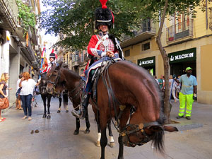 VII Festa Reviu els Setges Napole&ograve;nics de Girona