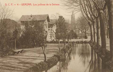Parc de la Devesa amb la porta d'entrada als jardins a l'esquerra. Al fons, el campanar de l'esgl&eacute;sia de Sant Feliu. 1903