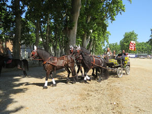 La Cavalcada de Sant Antoni 2015
