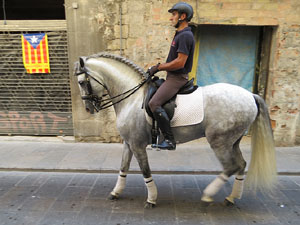 La Cavalcada de Sant Antoni 2015