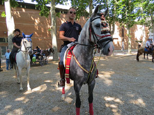 La Cavalcada de Sant Antoni 2015