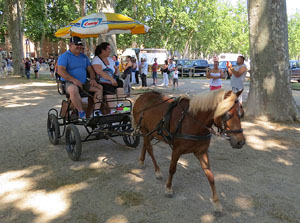La Cavalcada de Sant Antoni 2015