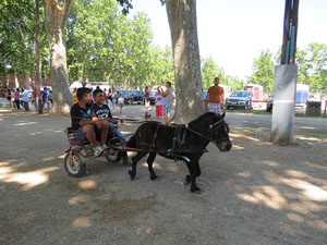 La Cavalcada de Sant Antoni 2015