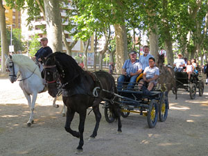 La Cavalcada de Sant Antoni 2015