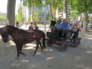 La Cavalcada de Sant Antoni 2015