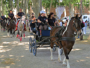 La Cavalcada de Sant Antoni 2015