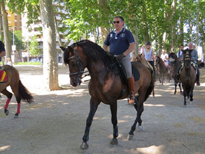 La Cavalcada de Sant Antoni 2015