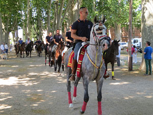 La Cavalcada de Sant Antoni 2015