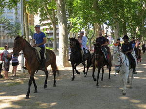 La Cavalcada de Sant Antoni 2015