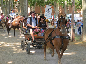 La Cavalcada de Sant Antoni 2015