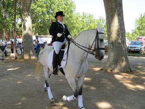 La Cavalcada de Sant Antoni 2015