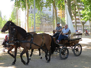 La Cavalcada de Sant Antoni 2015
