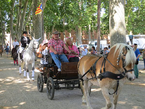La Cavalcada de Sant Antoni 2015