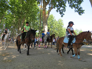 La Cavalcada de Sant Antoni 2015