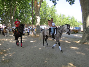 La Cavalcada de Sant Antoni 2015
