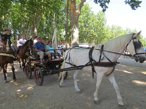 La Cavalcada de Sant Antoni 2015