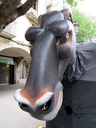 La mulassa de Girona, la Mula Baba