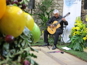 Festival de Guitarra de Girona 2015. Josep Manzano als Banys &Agrave;rabs