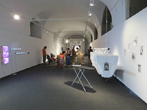Festival inund'ART 2015. X Trobada i Mostra d'art multidisciplinari