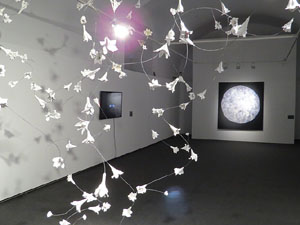 Festival inund'ART 2015. X Trobada i Mostra d'art multidisciplinari