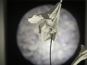 Festival inund'ART 2015. X Trobada i Mostra d'art multidisciplinari