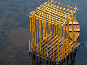 Festival inund'ART 2015. X Trobada i Mostra d'art multidisciplinari