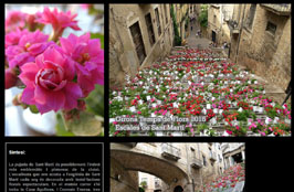 Anar