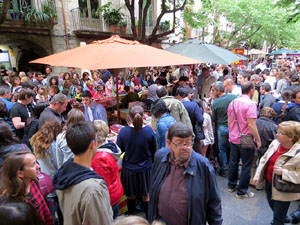 Sant Jordi 2015 a Girona