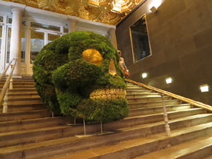 Temps de Flors 2015. La pla&ccedil;a del Vi, l'Ajuntament i el Teatre Municipal