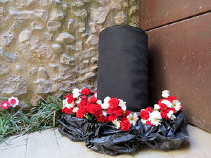 Temps de Flors 2015. La pla&ccedil;a del Vi, l'Ajuntament i el Teatre Municipal
