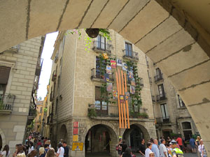 Temps de Flors 2015. La pla&ccedil;a del Vi, l'Ajuntament i el Teatre Municipal