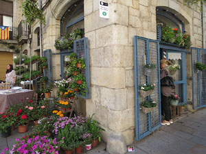 Temps de Flors 2015. La pla&ccedil;a del Vi, l'Ajuntament i el Teatre Municipal
