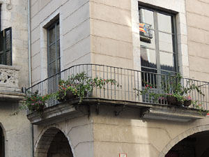 Temps de Flors 2015. La pla&ccedil;a del Vi, l'Ajuntament i el Teatre Municipal