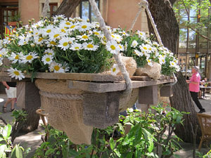 Temps de Flors 2015. Carrer Albereda, Rambla Verdaguer i voltants